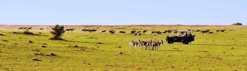 Kwantu Private Game Reserve Sidbury Экстерьер фото